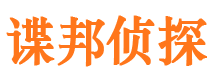 白朗市调查公司